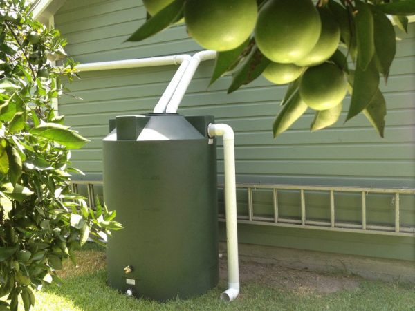 Dark Green 500 gallon rainwater collection tank install